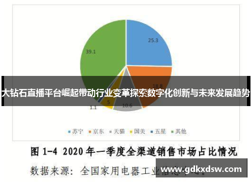 大钻石直播平台崛起带动行业变革探索数字化创新与未来发展趋势